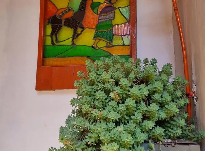 Hostel Chelitos Backpacker