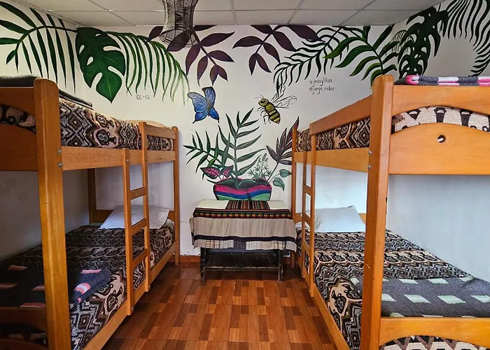 Hostel Chelitos Backpacker *